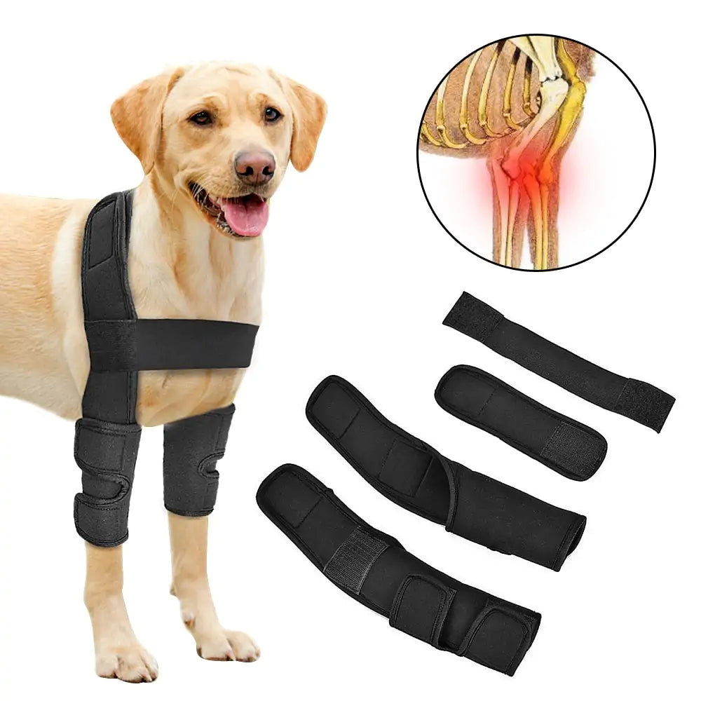 Dog Front Feet Supporter Enchance Mobility