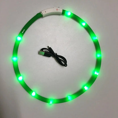 Luminous Pet Collar For Night Walks