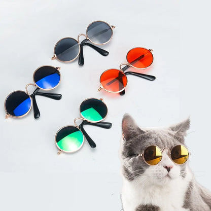 Pet Sunglasses Ultimate Fashion