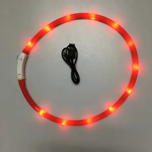 Luminous Pet Collar For Night Walks