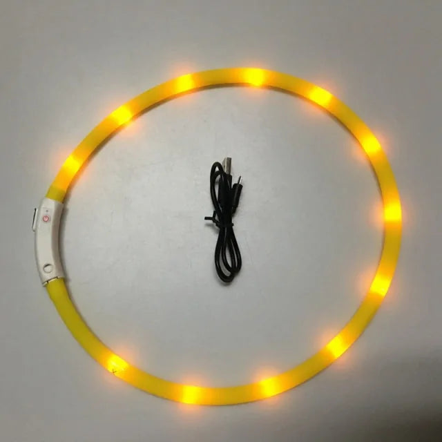 Luminous Pet Collar For Night Walks