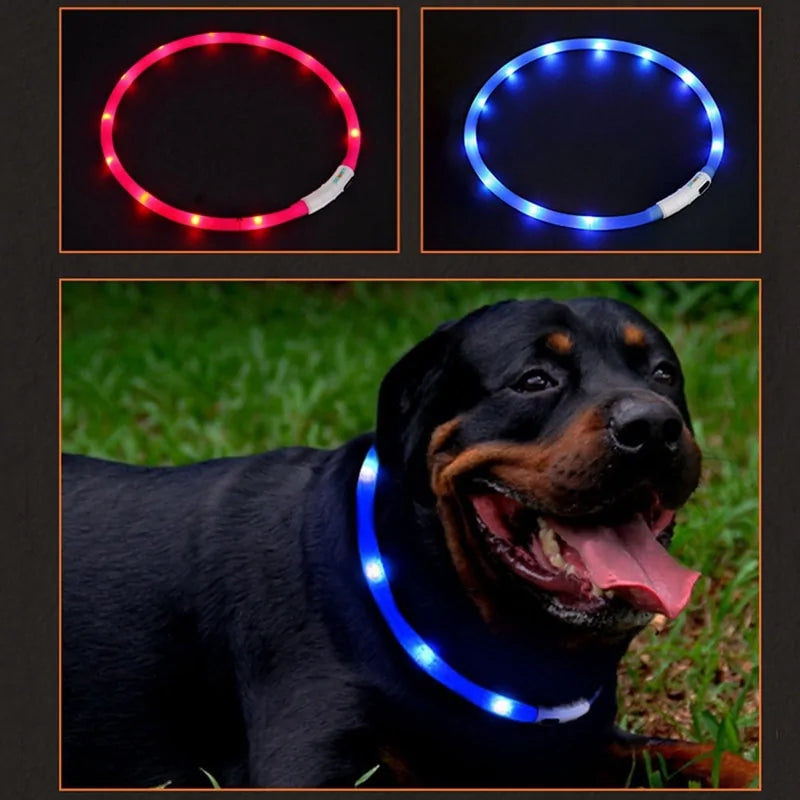 Luminous Pet Collar For Night Walks