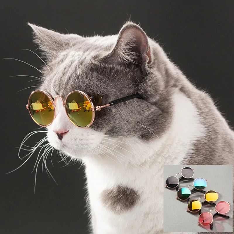 Pet Sunglasses Ultimate Fashion