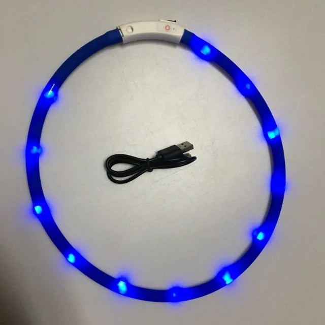 Luminous Pet Collar For Night Walks