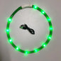 Luminous Pet Collar For Night Walks