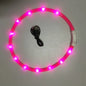 Luminous Pet Collar For Night Walks