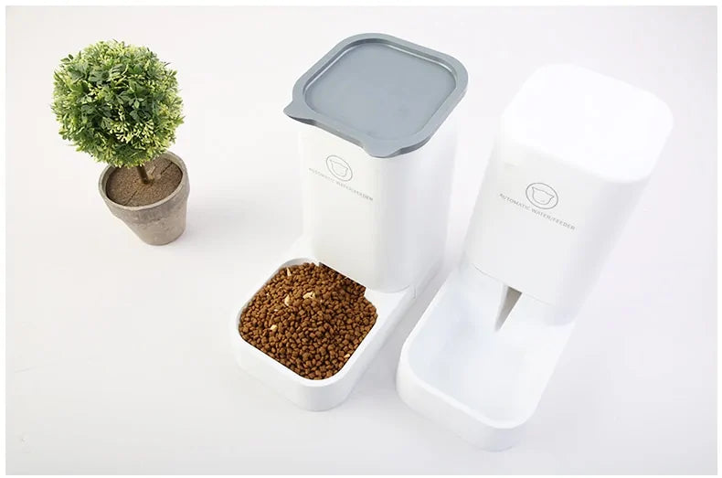 Automatic Pet Feeder Scheduled Feedings